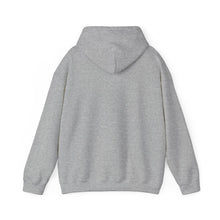 Load image into Gallery viewer, Crow grey Hoodie
