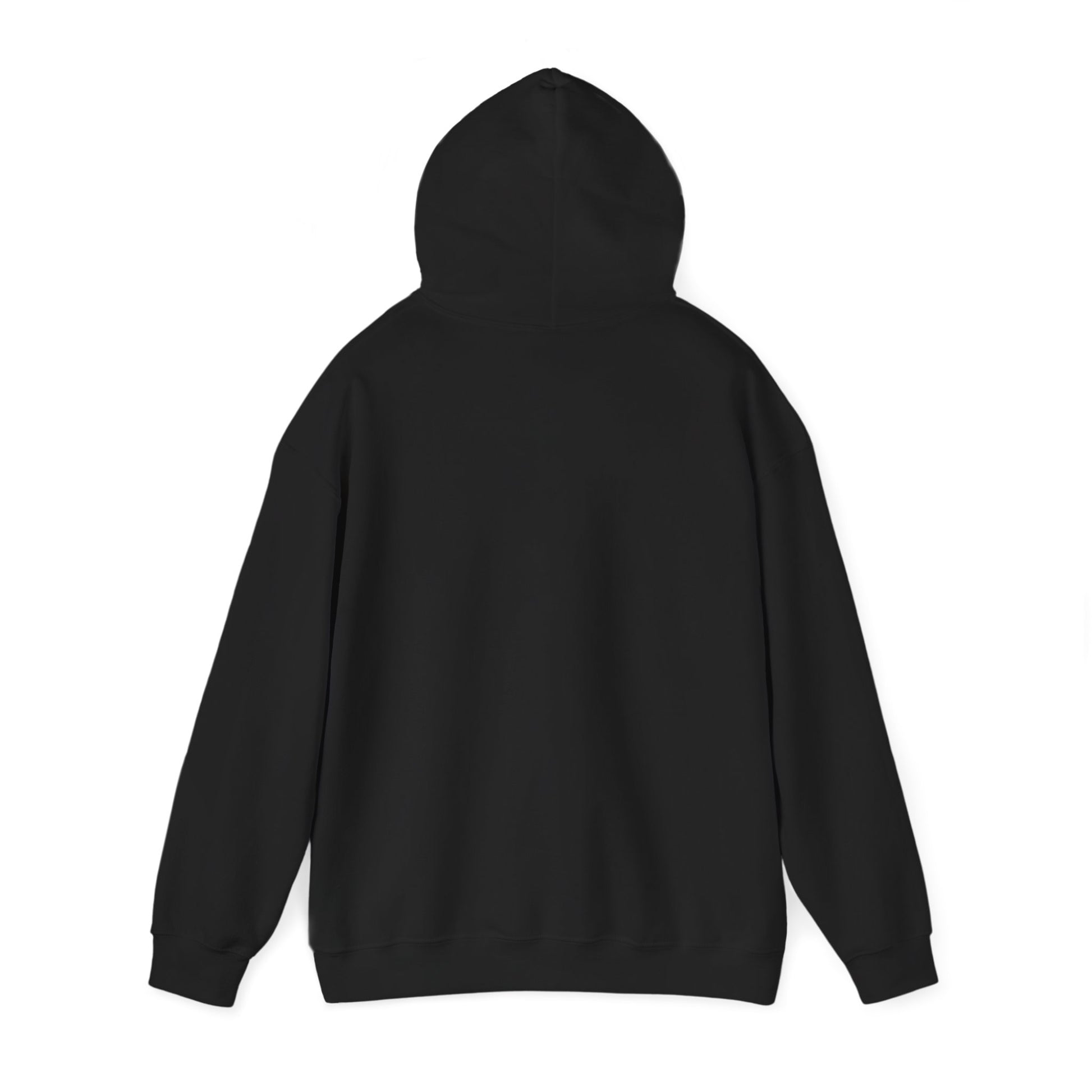 Back view of black Crow hoodie